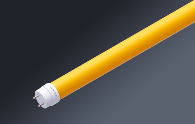 イエローミルキー（YM）