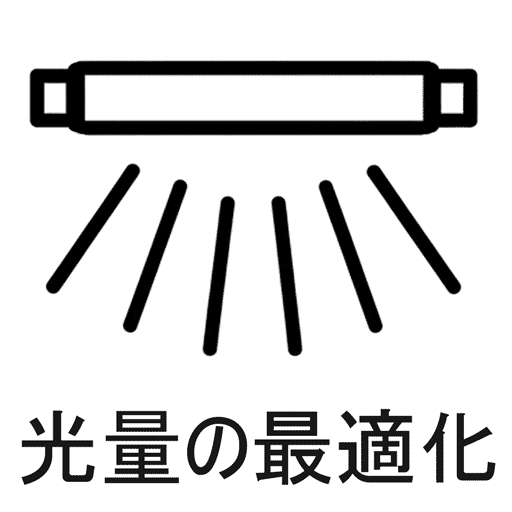 光量最適化